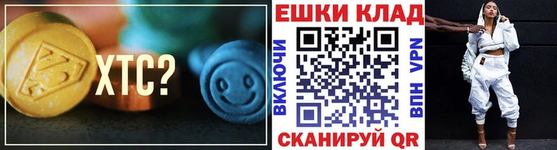 ЭКСТАЗИ диски  где продают наркотики  Заводоуковск 